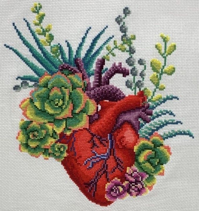 Anatomical heart with succulent flowers cross stitch pattern
